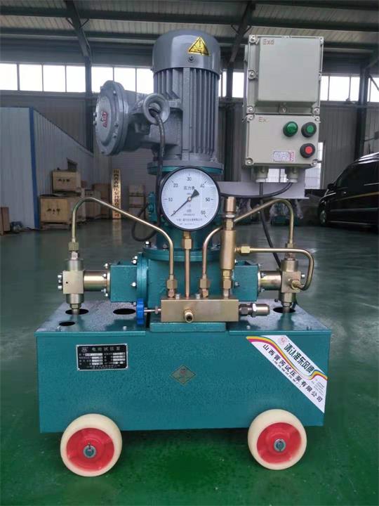 广州科丽能环保定制的立式防爆电动试压泵